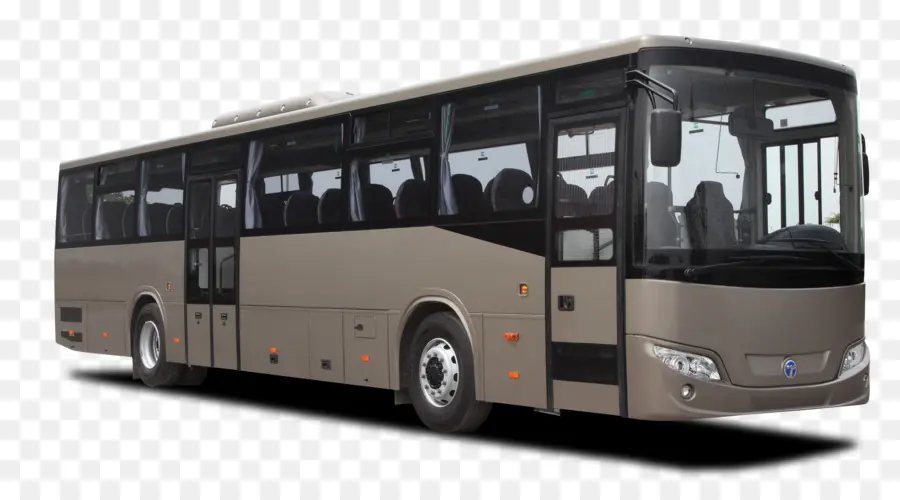 Autobús，Temsa PNG