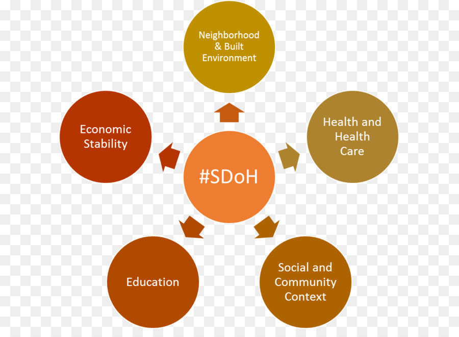 Los Determinantes Sociales De La Salud，Organización PNG