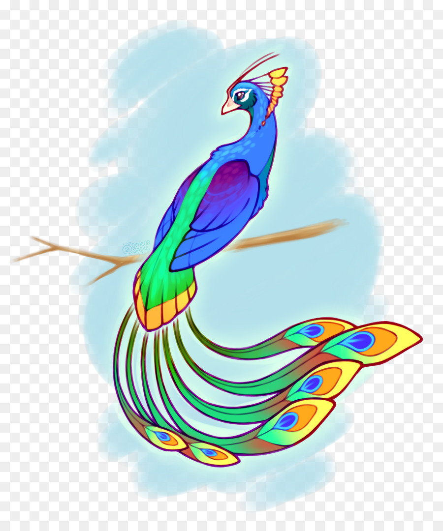 Guacamayo，Pluma PNG