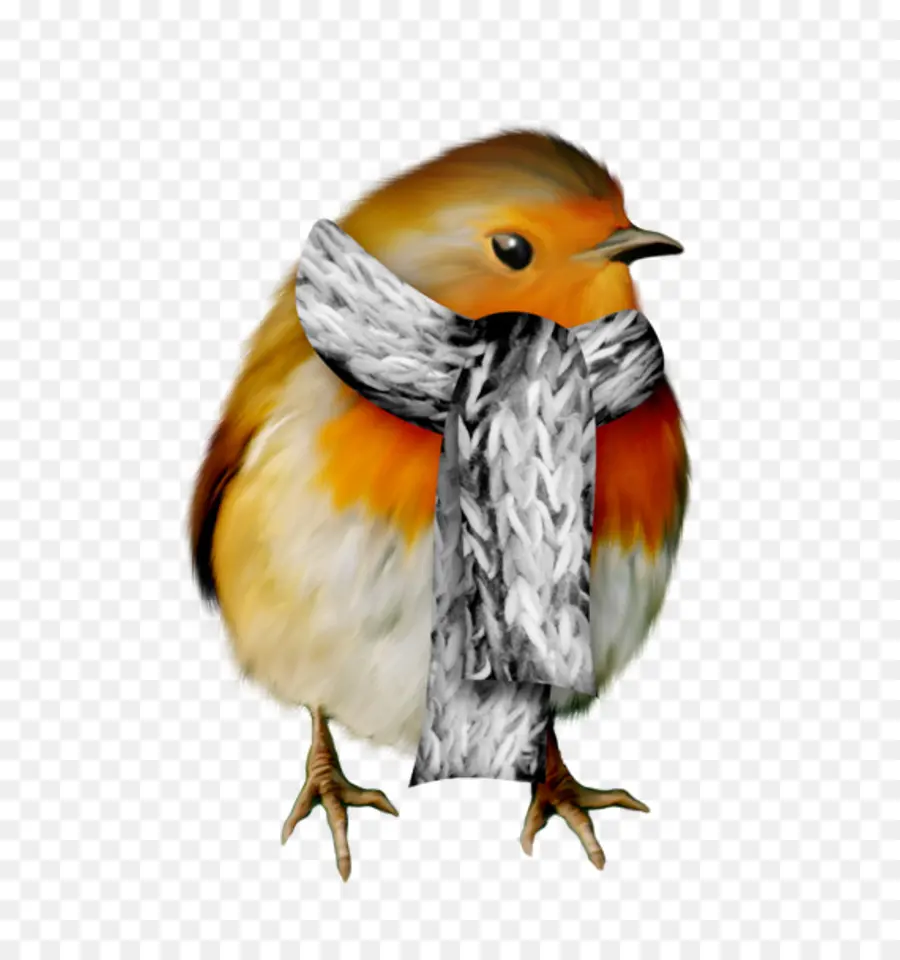 Robin Europeo，Pájaro PNG