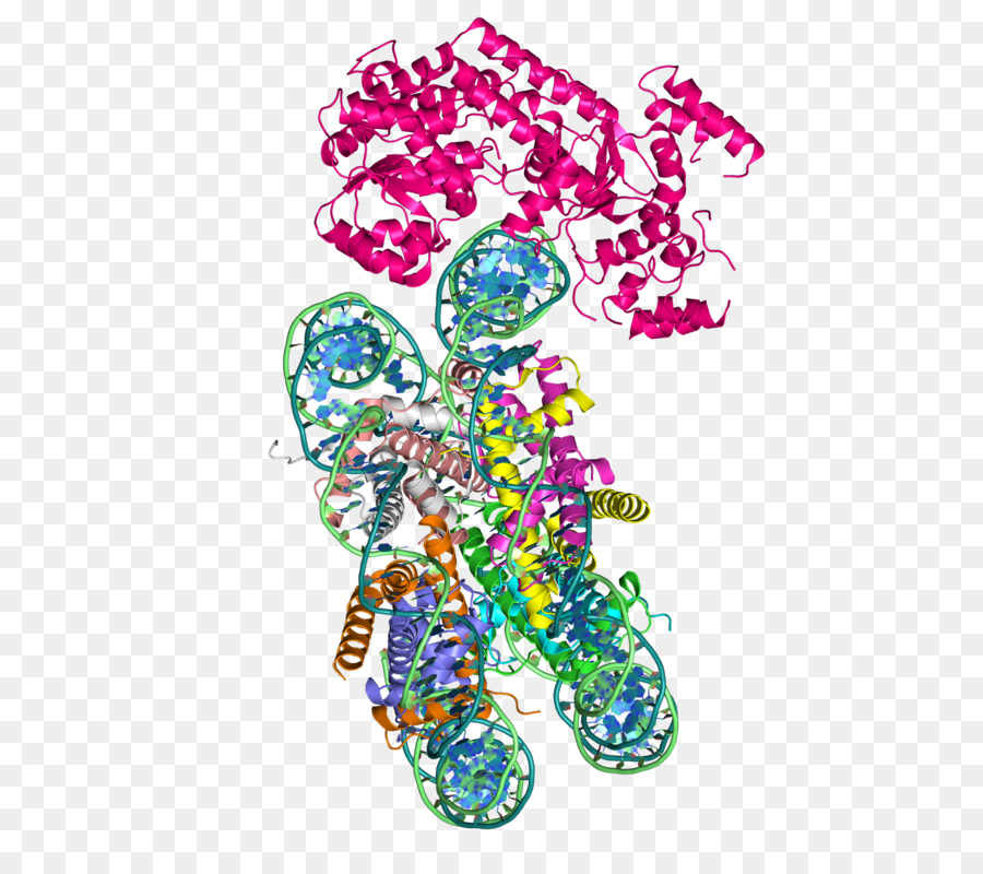 Estructura Proteica，Molécula PNG