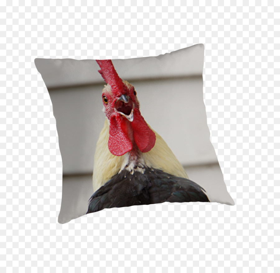 Almohadón，Tirar Almohadas PNG