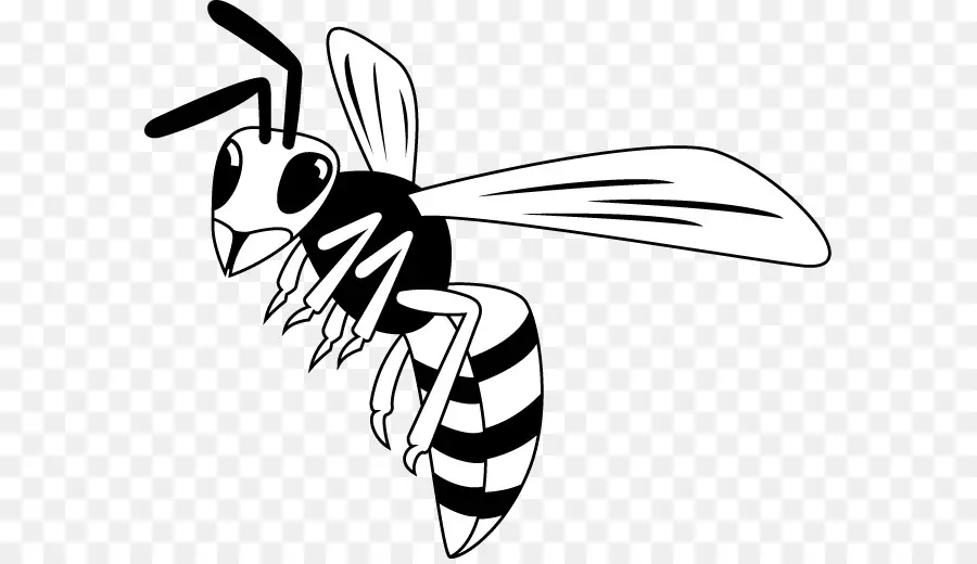 Abeja De Miel，En Blanco Y Negro PNG