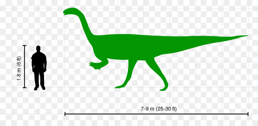 Plateosaurio，Velociraptor PNG