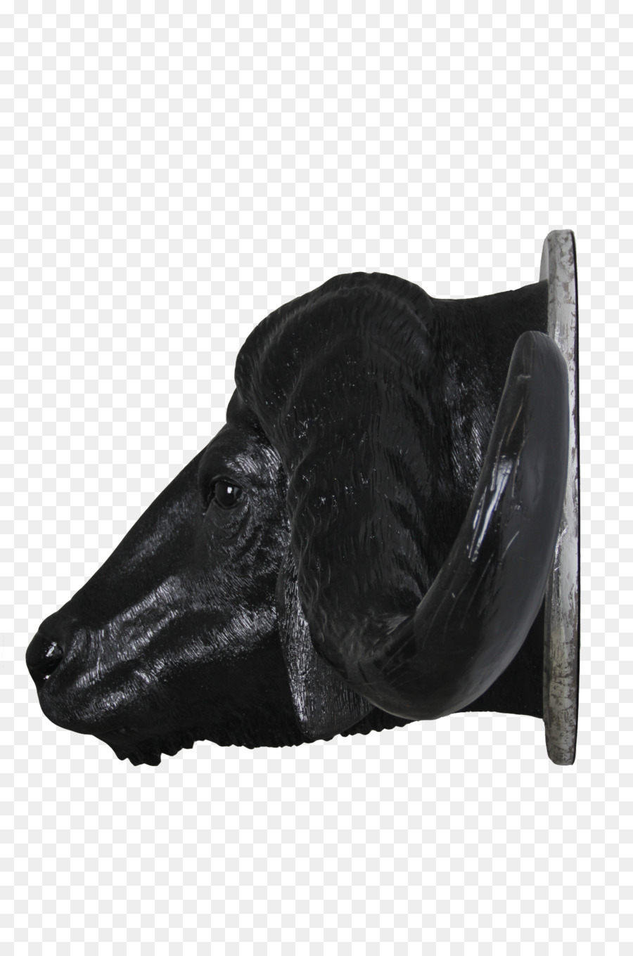 Zapato，Hocico PNG