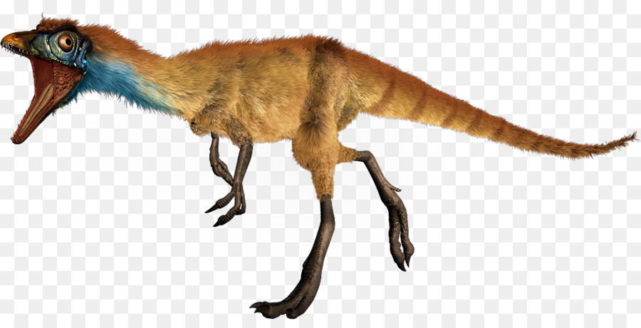 Compsognathus，Tamaño De Dinosaurio PNG