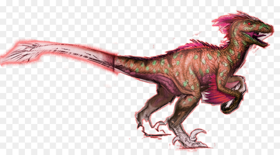 La Supervivencia Del Arca Evolucionó，Velociraptor PNG