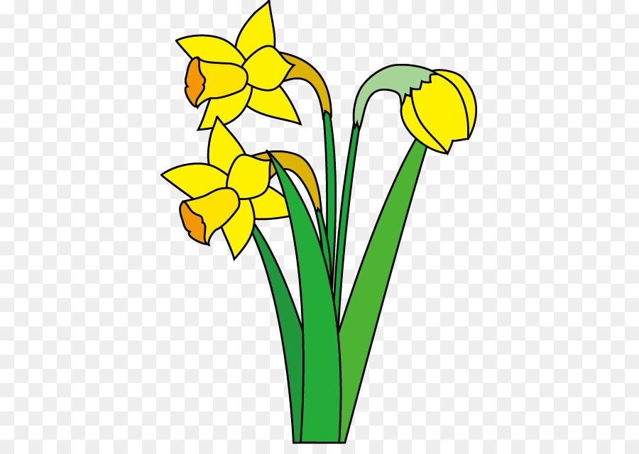 Narciso，Cortar Flores PNG