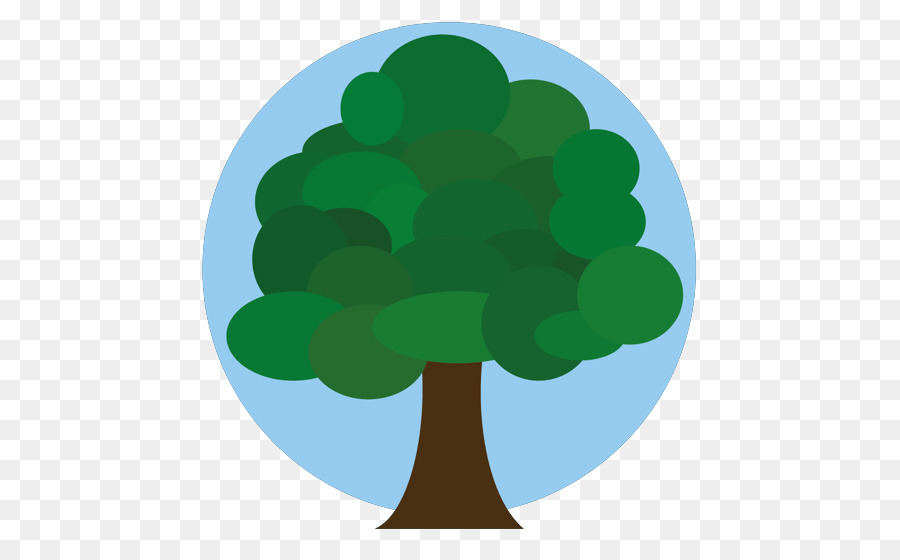 Árbol，Planta PNG