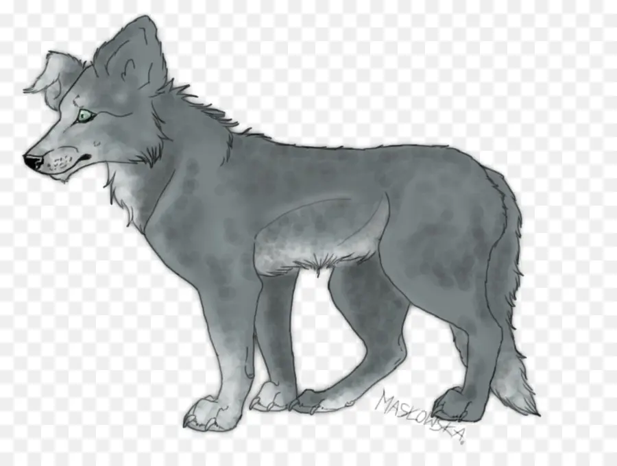 Lobo Gris，Coyote PNG