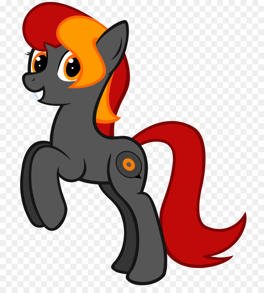 Gato，Caballo PNG