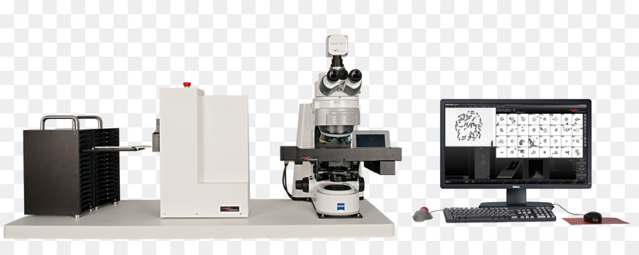 Instrumento óptico，Microscopio PNG