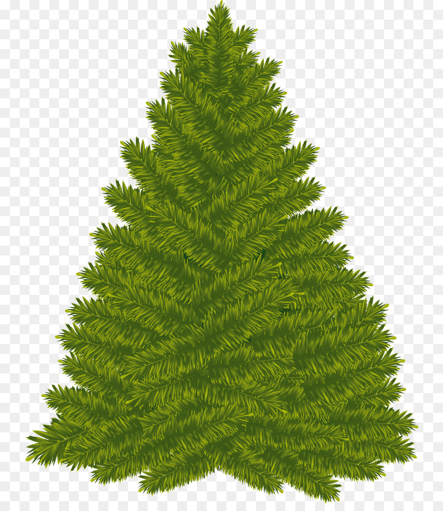 Árbol，Naturaleza PNG