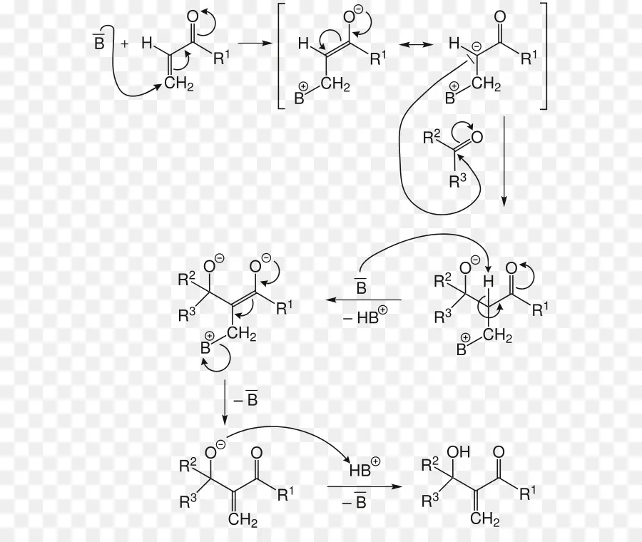 Reacción De Baylishillman，Mecanismo De Reacción PNG
