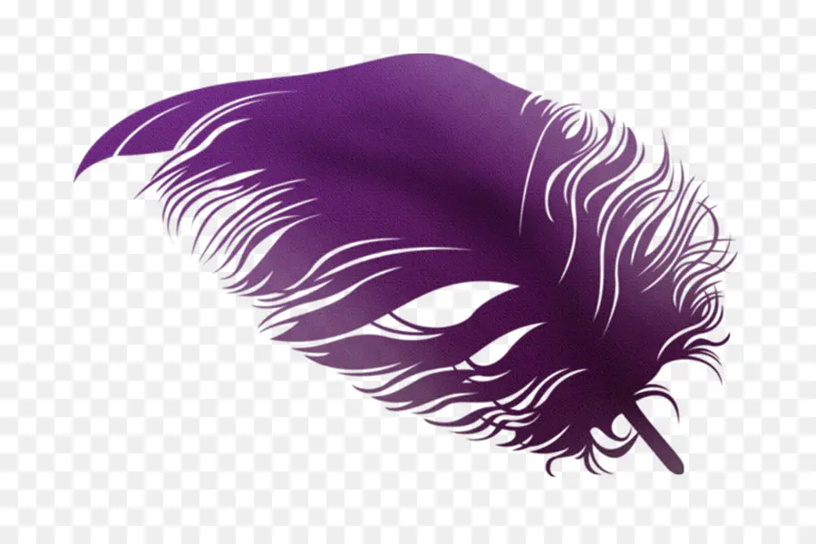 Pluma，Violeta PNG