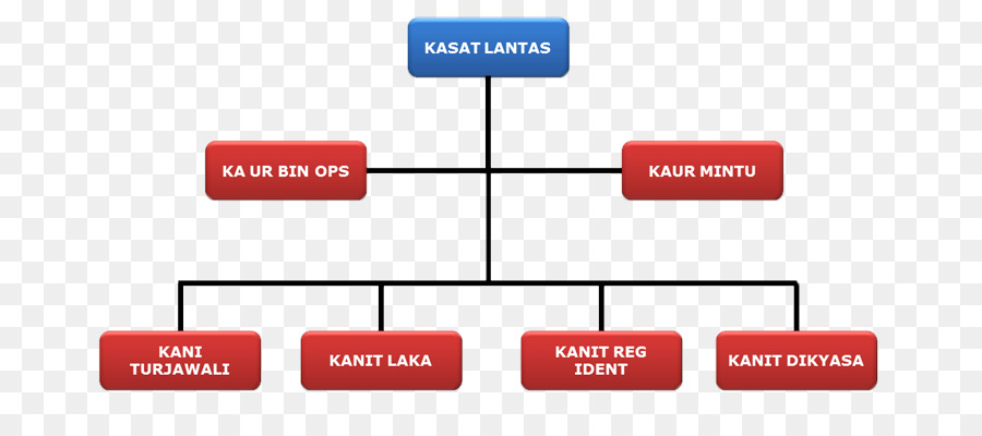 Organigrama，Estructura PNG