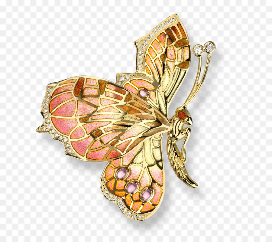 Broche，Mariposa PNG