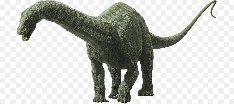 Apatosaurio，Imágenes Universales PNG