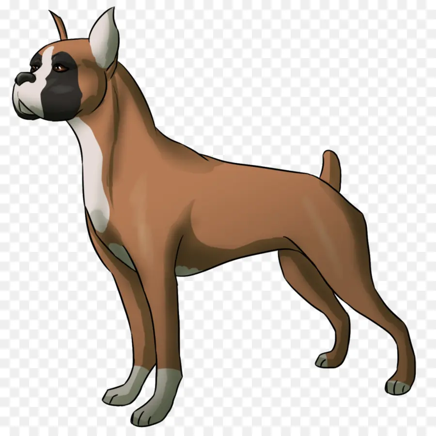 Perro Bóxer，Mascota PNG