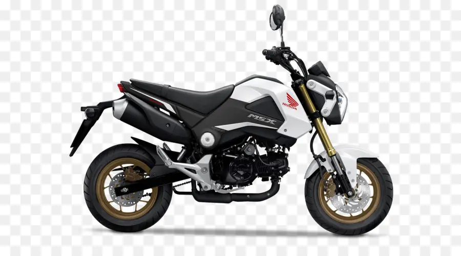 Honda Grom，Auto PNG