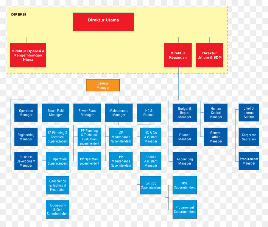 Organigrama，Estructura PNG