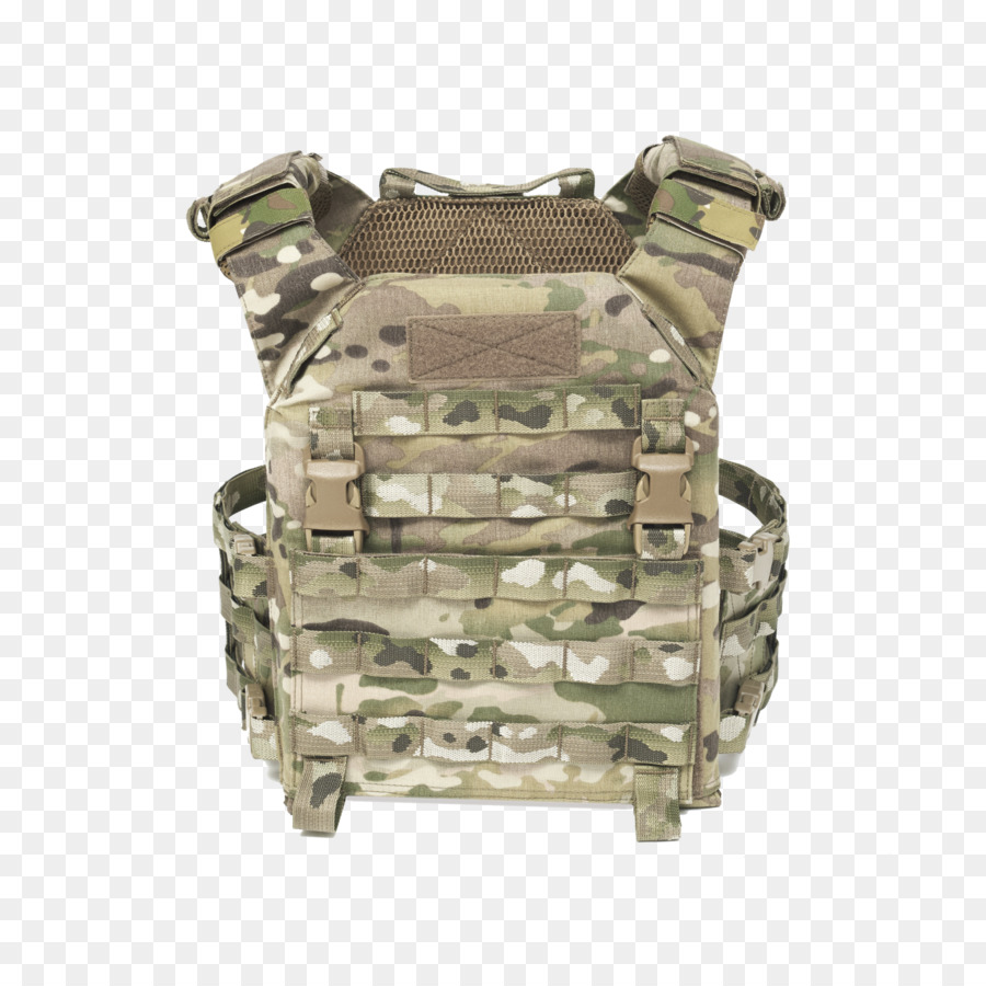 Sistema De Portador De Placas De Soldado，Molle PNG