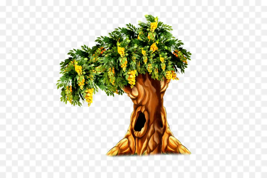 Árbol，Hojas PNG