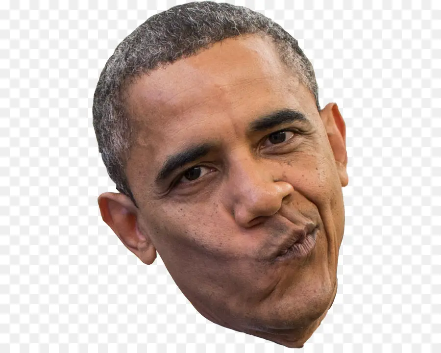 Barack Obama，Casa Blanca PNG