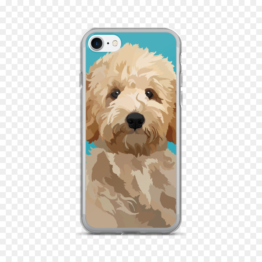 Doodle Dorado，Cavapoo PNG