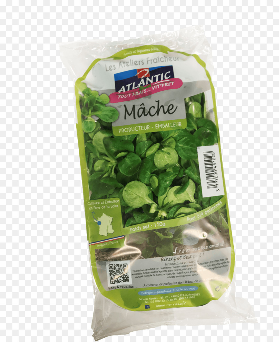 Vegetal De Hoja，Cocina Vegetariana PNG