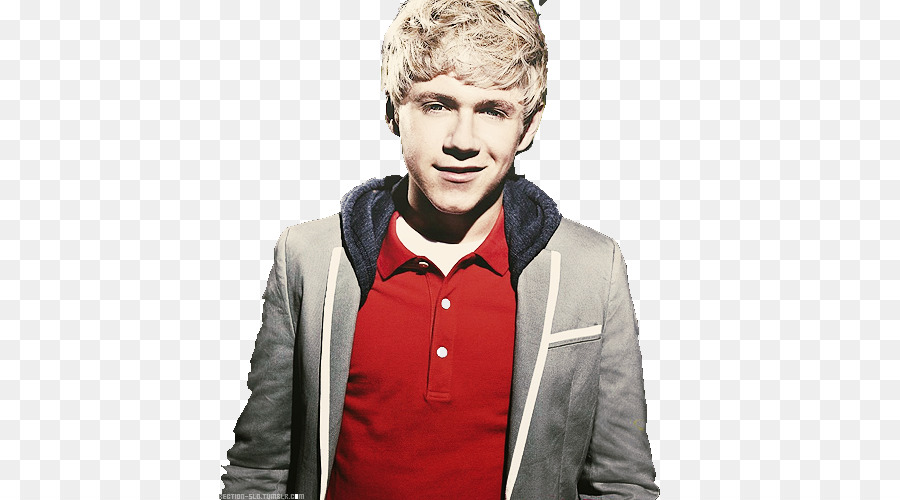 Niall Horan，Factor X PNG