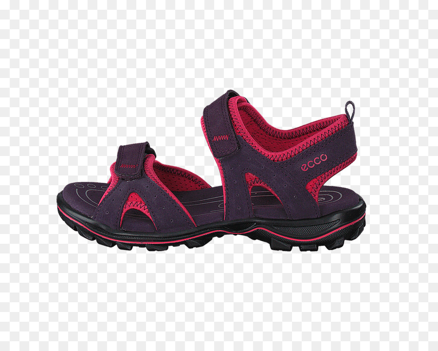 Zapato，Sandalia PNG