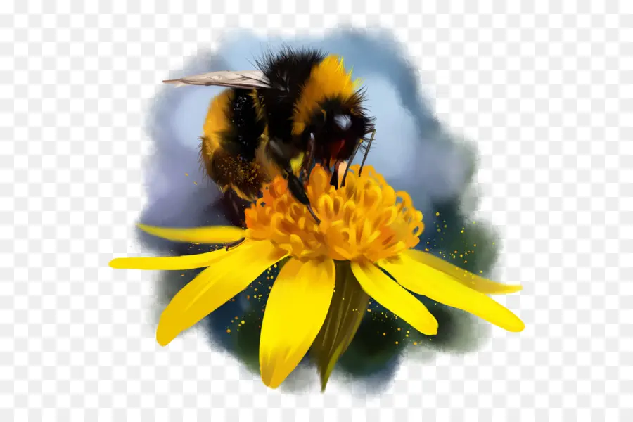 Abeja En Flor，Insecto PNG