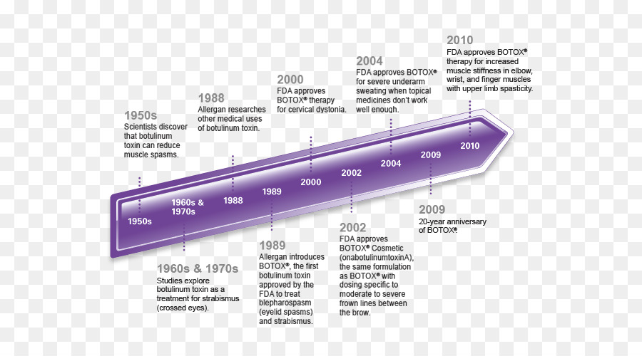 Línea De Tiempo，Bótox PNG