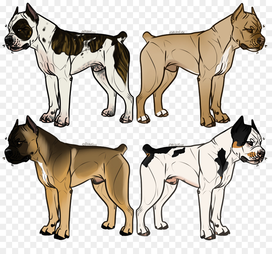 Razas De Perros Antiguos，Perro PNG