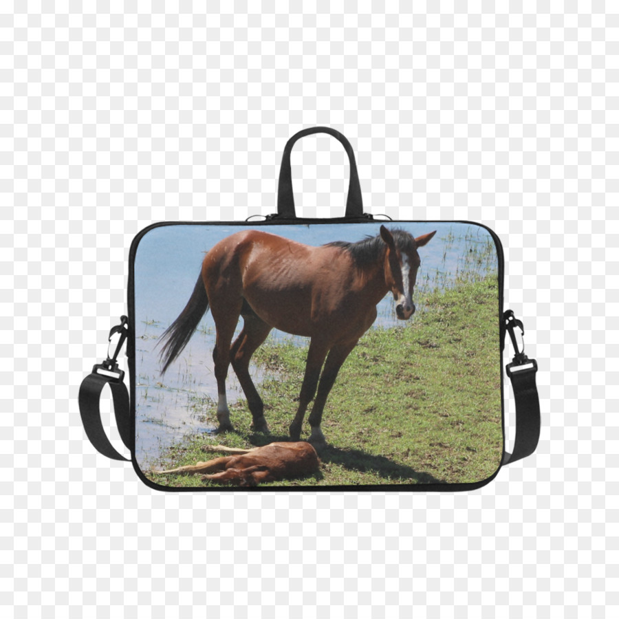 Computadora Portátil，Bolso PNG