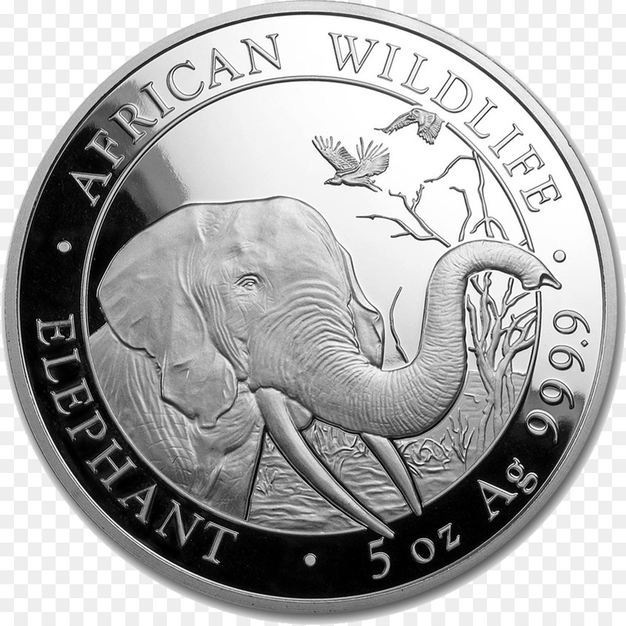 Somalia，Elefante Africano PNG