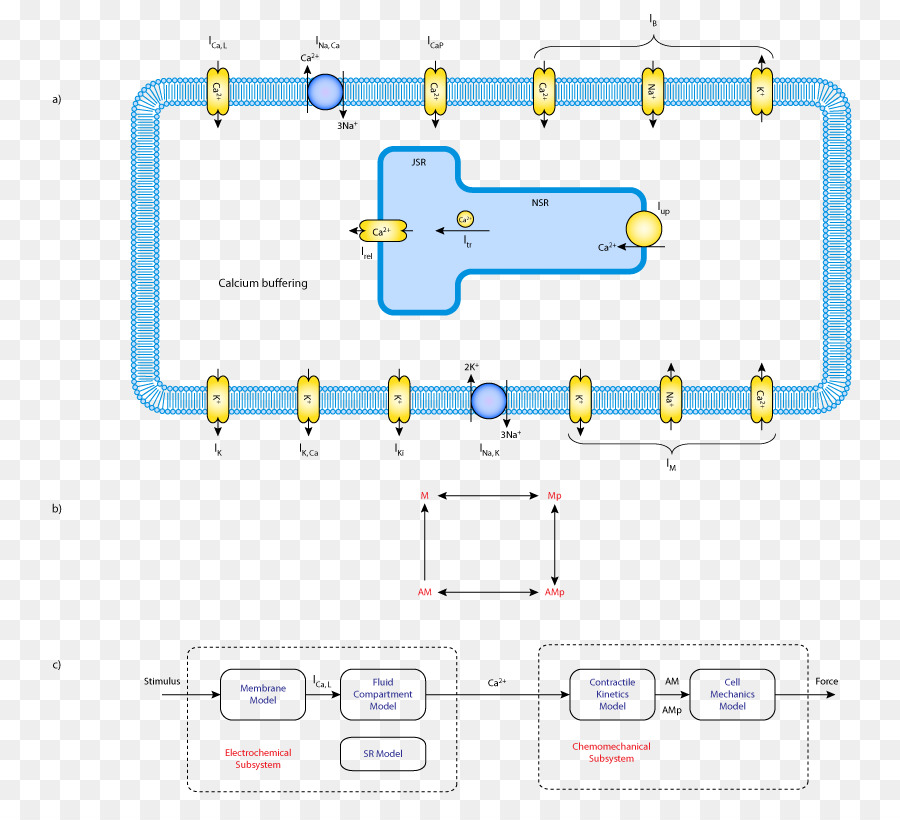 Dibujo，Diagrama PNG