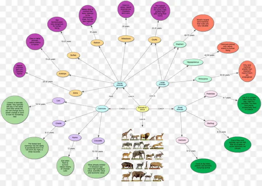 Mapa Conceptual，Mapa PNG