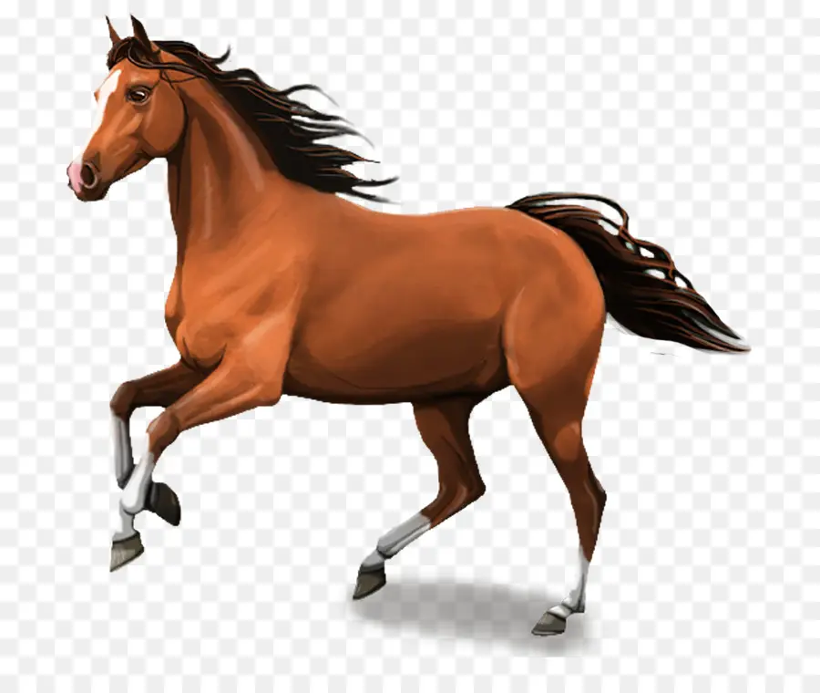 Caballos Corriendo，Animales PNG