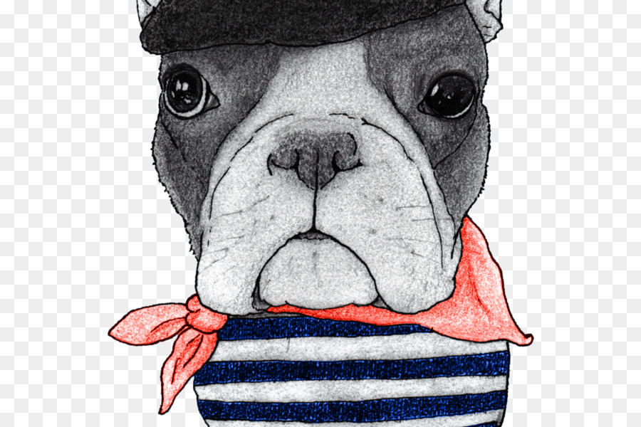 Bulldog Francés，Buldog PNG