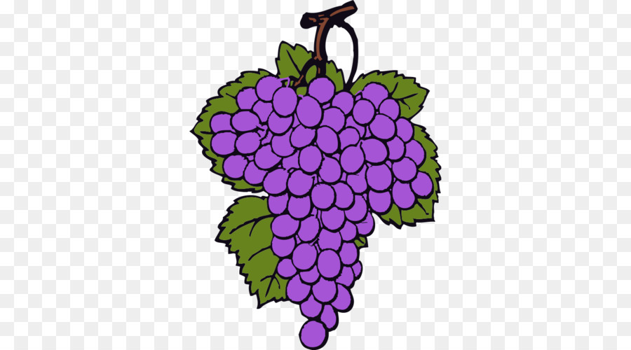 Uvas Moradas，Fruta PNG