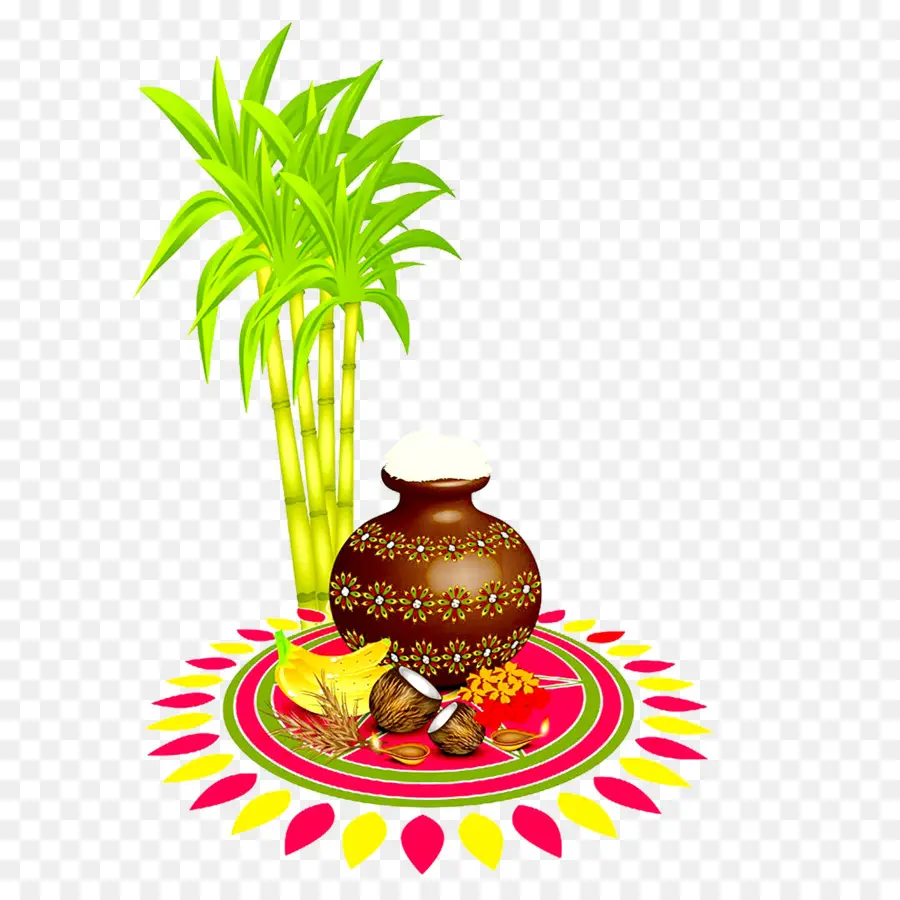 Pongal Tailandés，Makar Sankranti PNG