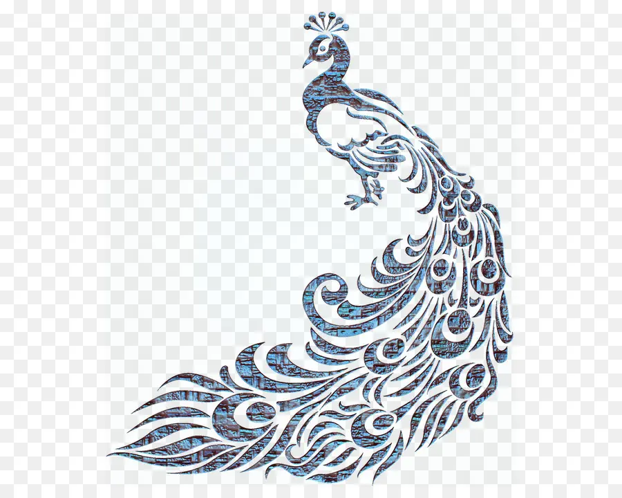 Pavo Real，Plumas PNG