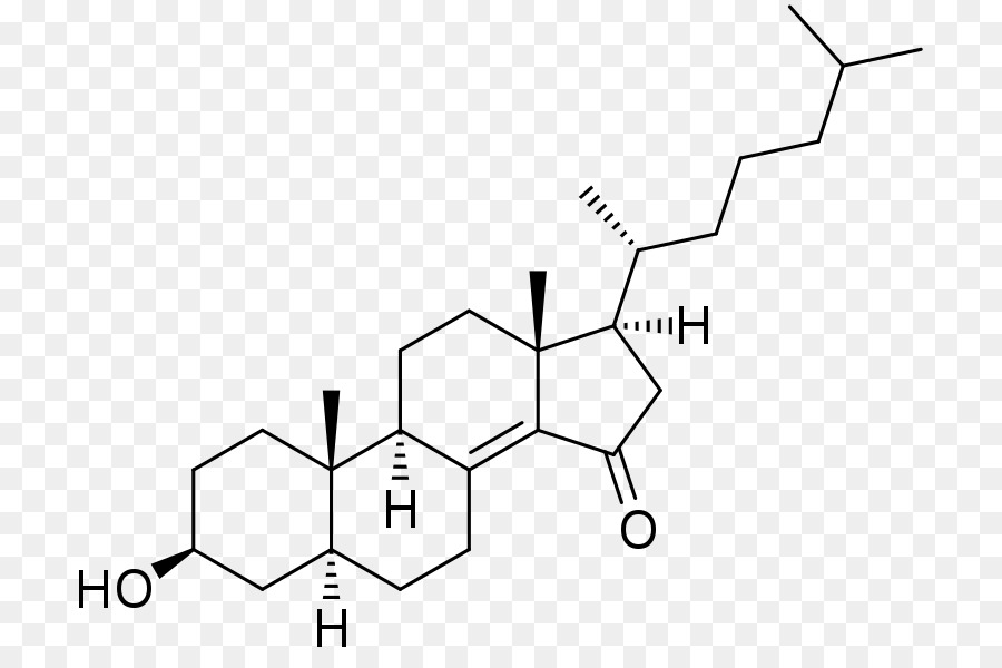 3βhidroxisteroide Deshidrogenasa，Pregnenolona PNG