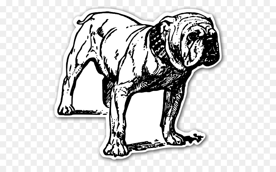 Buldog，Bulldog Francés PNG