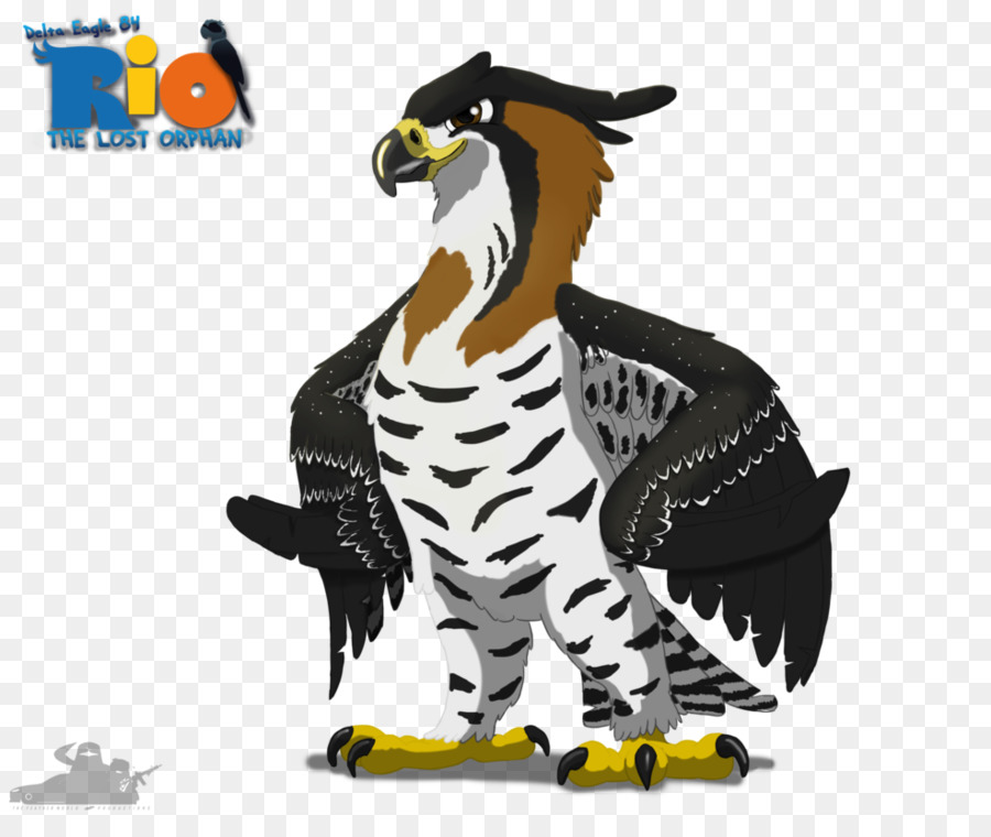 Río，Aves PNG