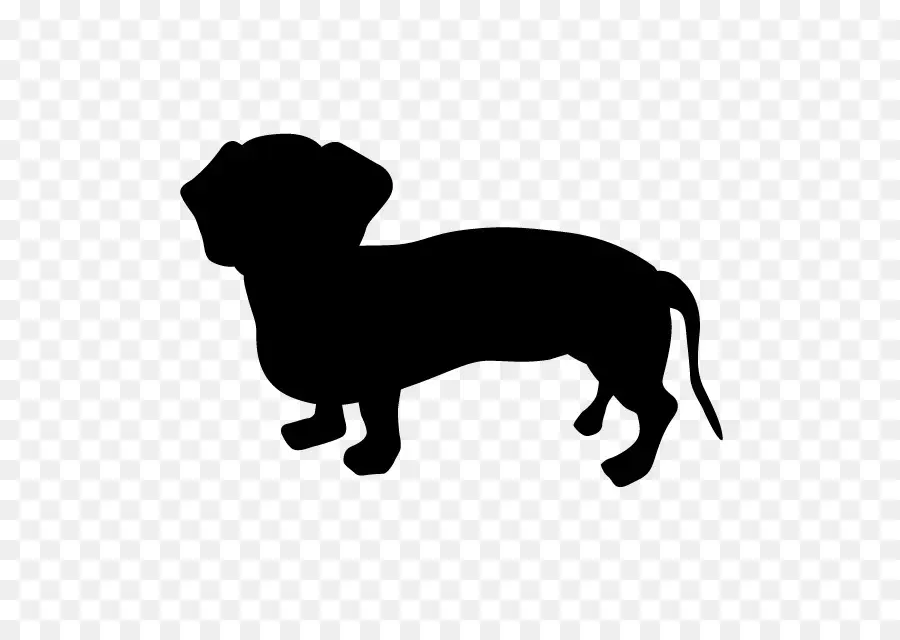 Perro Tejonero，Cachorro PNG