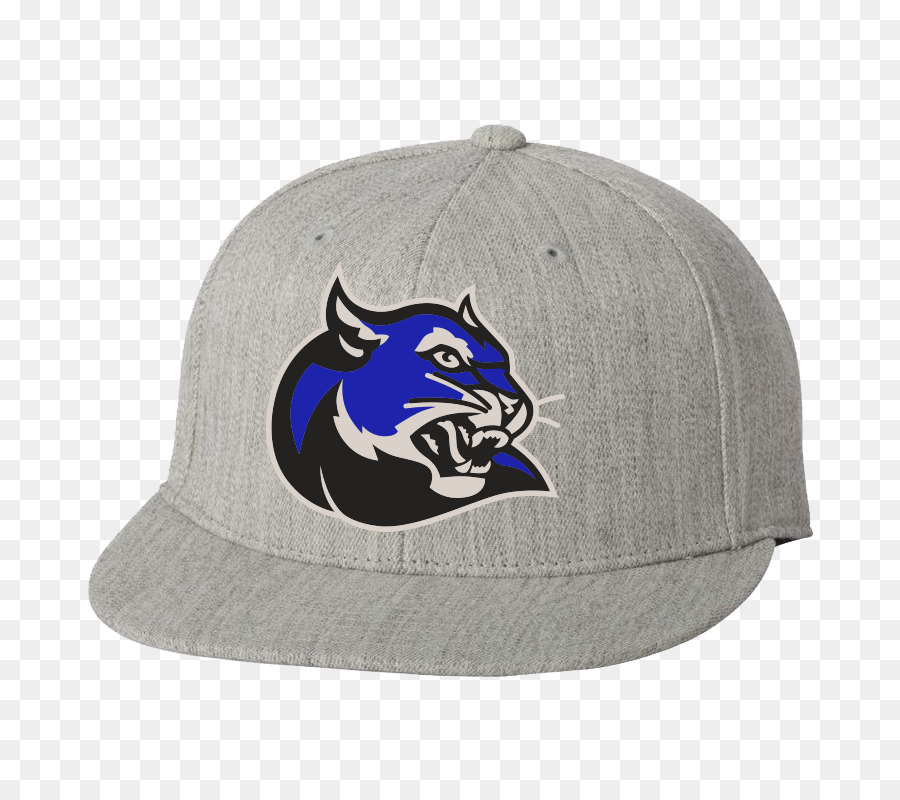 Gorra De Beisbol，Gorra PNG