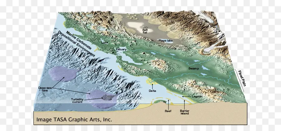 Ambiente Deposicional，Roca Sedimentaria PNG